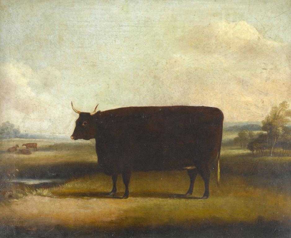 Appraisal: WILLIAM HENRY DAVIS C - PORTRAIT OF AN OX IN