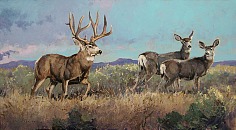 Appraisal: Luke Frazier Present High Desert - Mule Deeroil on board