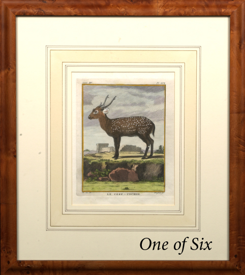 Appraisal: French School th Century Deer suite of six hand-colored engravings