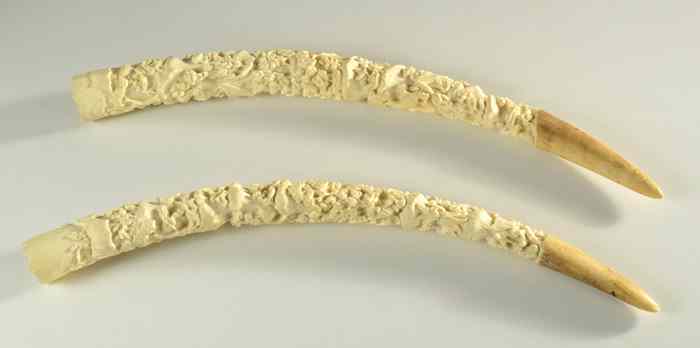 Appraisal: PAIR AFRICAN IVORY TUSKS hand carved in intricate detail families