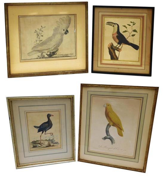 Appraisal: Four late th early th C engravings depicting birds some