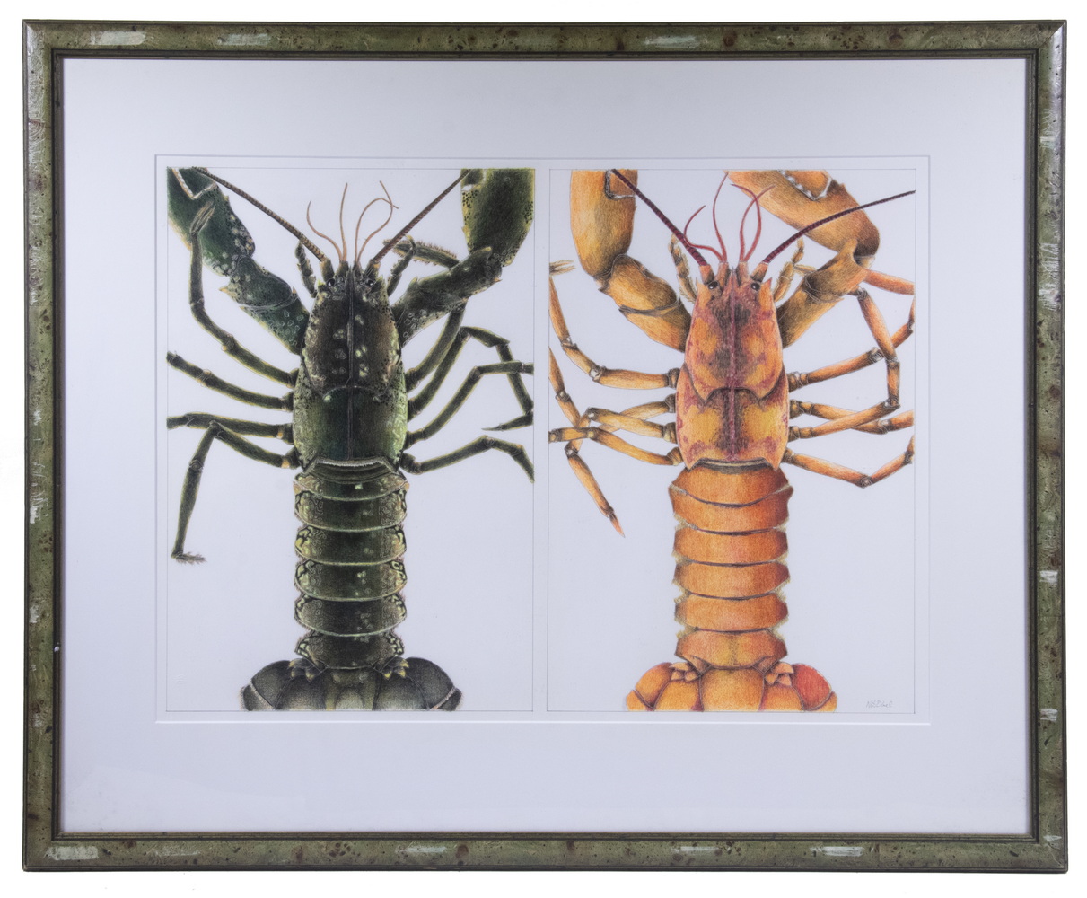 Appraisal: NILS OBEL ME - Two Lobsters colored pencil and graphite