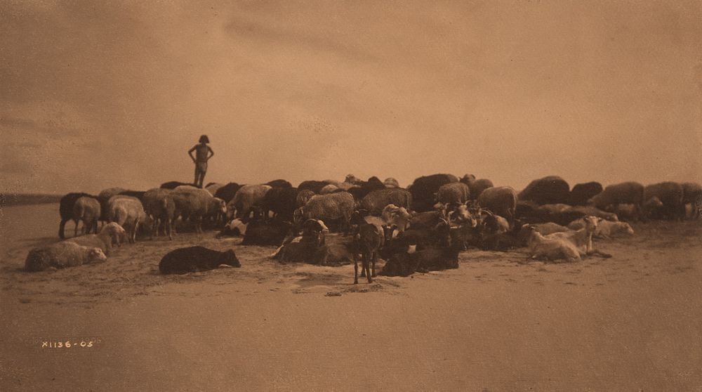 Appraisal: Edward Curtis A Hopi Flock Edward S Curtis - A