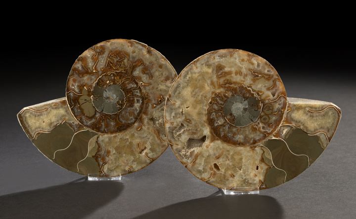 Appraisal: Fine Pair of Split Ammonite Fossil Specimens Cretaceous Period ca