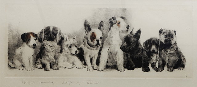 Appraisal: KURT MEYER EBERHARDT - A group of eight terrier and