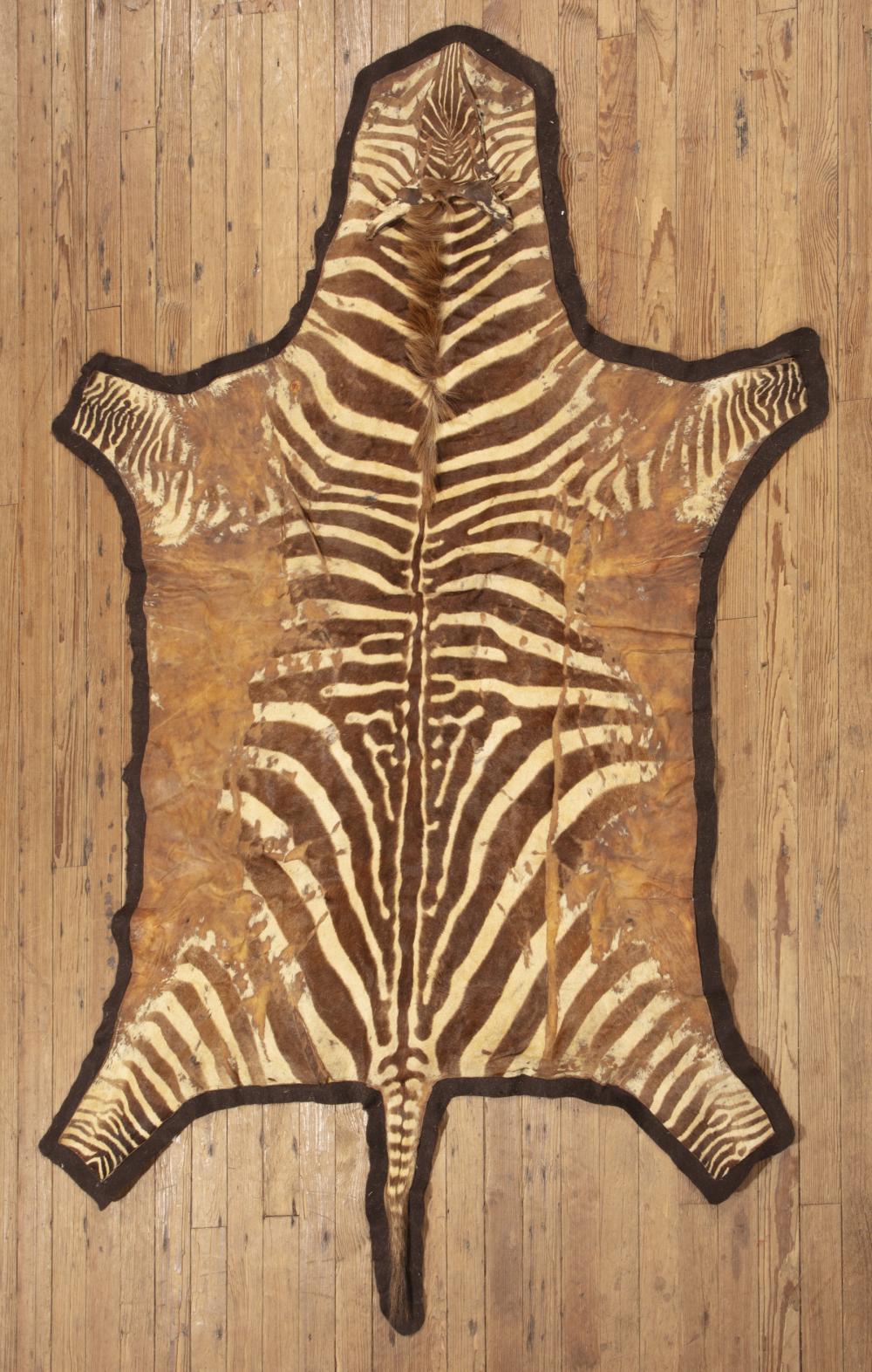 Appraisal: Zebra Skin Rug felt lined ft in x ft in