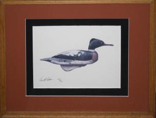 Appraisal: duck stamps duck prints- framed pcs