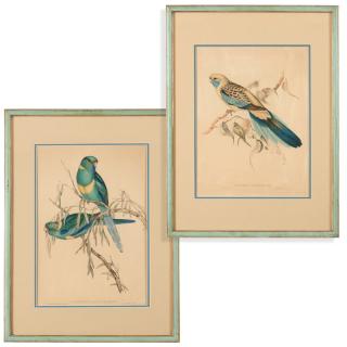 Appraisal: After John Gould The first ''Platycercus Barnardi'' Barnard's Parakeet the