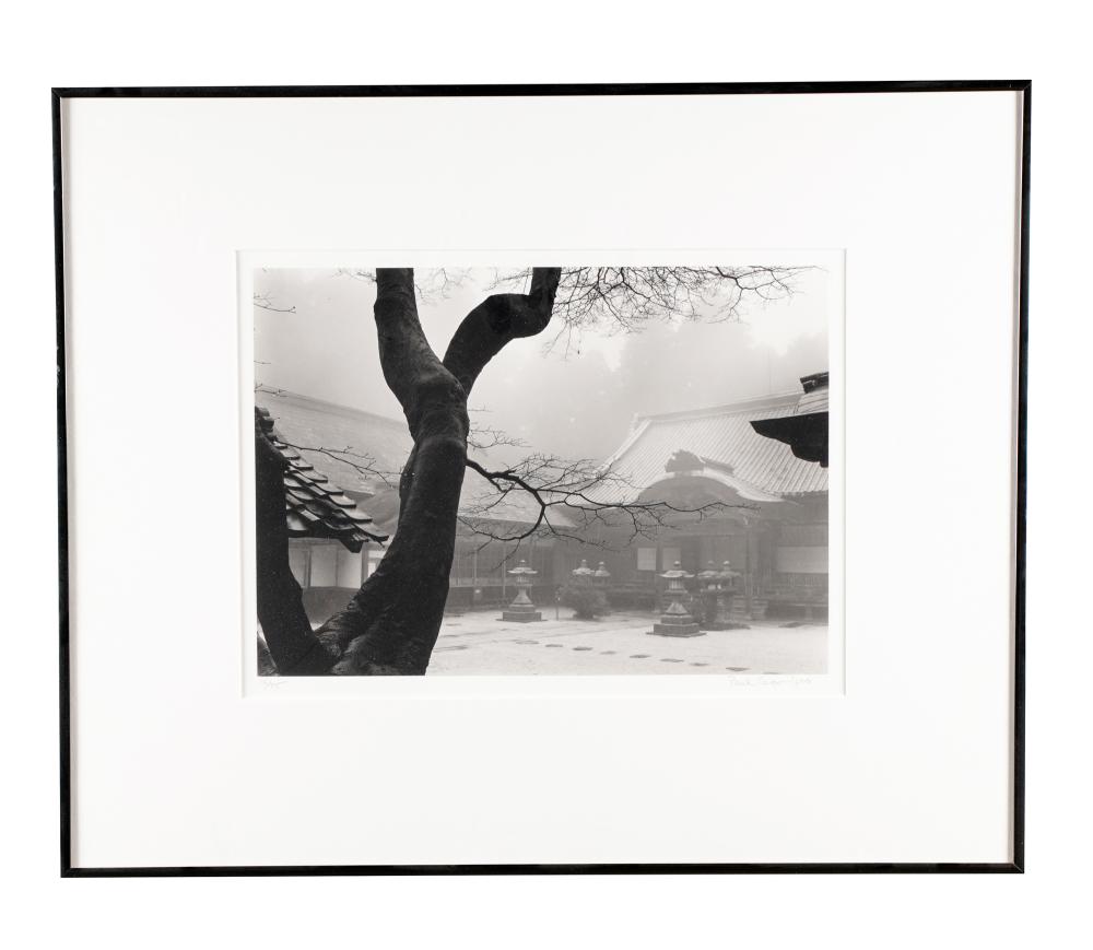 Appraisal: PAUL CAPONIGRO THE BLACK TREE gelatin silver print numbered lower