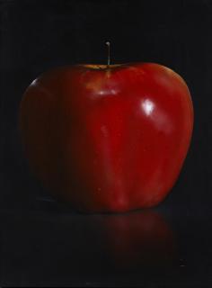 Appraisal: Tom Seghi - American Red Apple oil on canvas signed