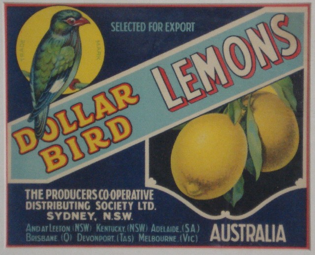 Appraisal: Five framed advertising posters for Dollar Bird citrus together with