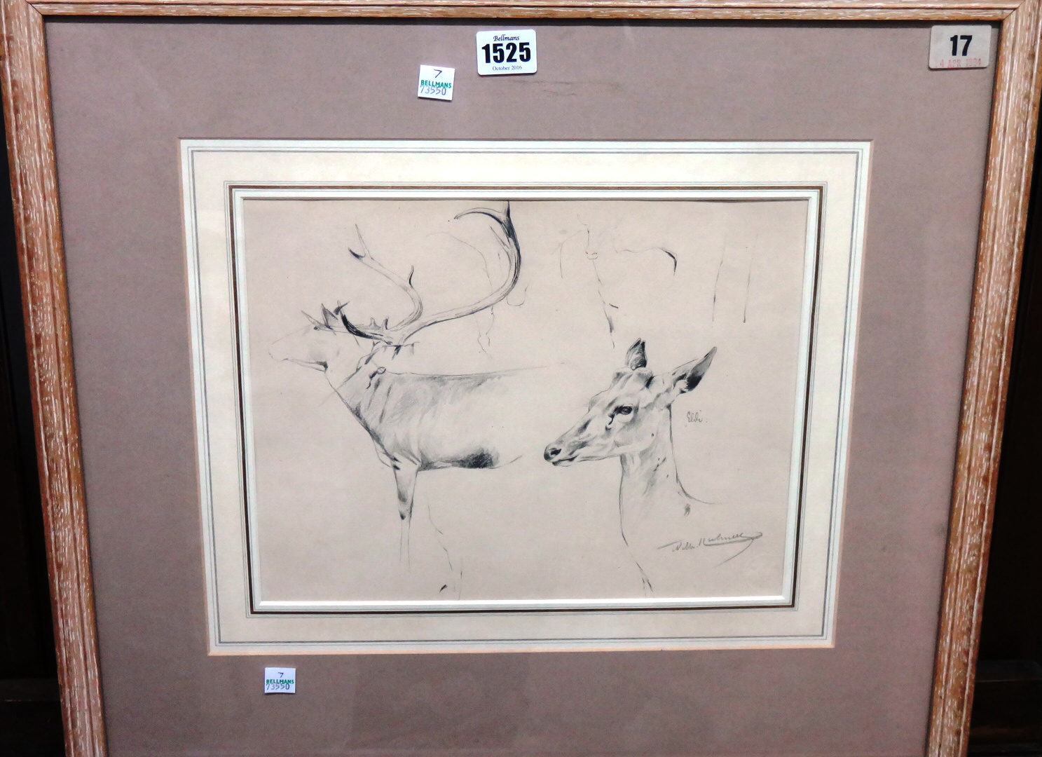 Appraisal: Willi Kuhnert - Studies of deer pencil signed cm x