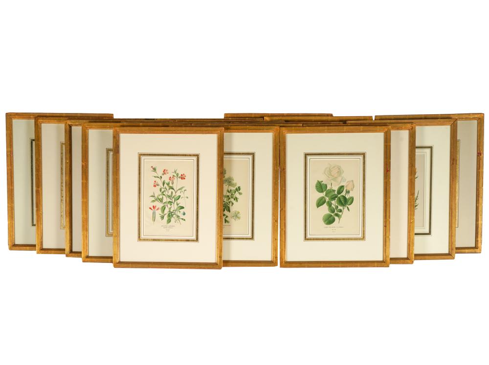 Appraisal: SET OF COLORED BOTANICAL PRINTSeach matted and framed under glass