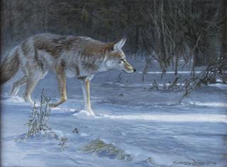 Appraisal: Coyote Moon by John Seerey John Seerey-Lester - oil on