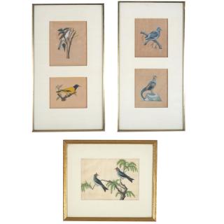 Appraisal: North Indian School bird drawings North Indian School bird drawings