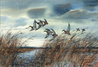 Appraisal: Milton C Weiler Mallards in Flightsigned M C Weiler lower