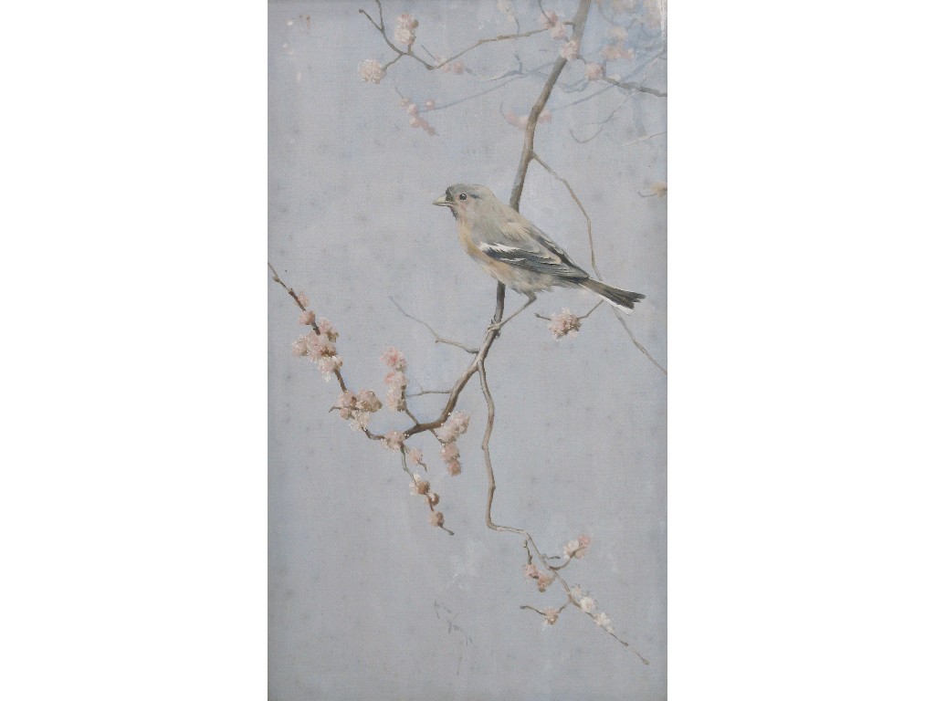 Appraisal: ARTHUR WARDLE A bullfinch on a blossoming branch signed bodycolour