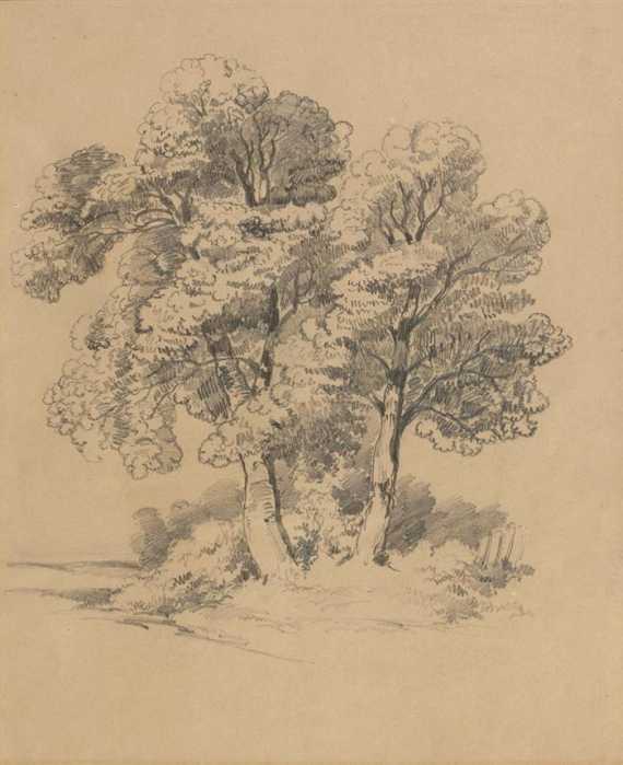 Appraisal: CALAME ALEXANDRE Vevey - Menton Tree study Pencil on paper