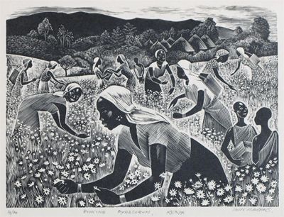 Appraisal: Iain Macnab - Picking Pyrethrum Kenya Signed titled and numbered