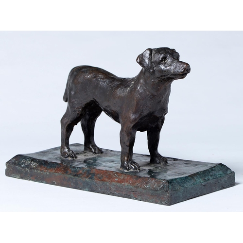 Appraisal: Peter James Wild - - Dog bronze signed with initials