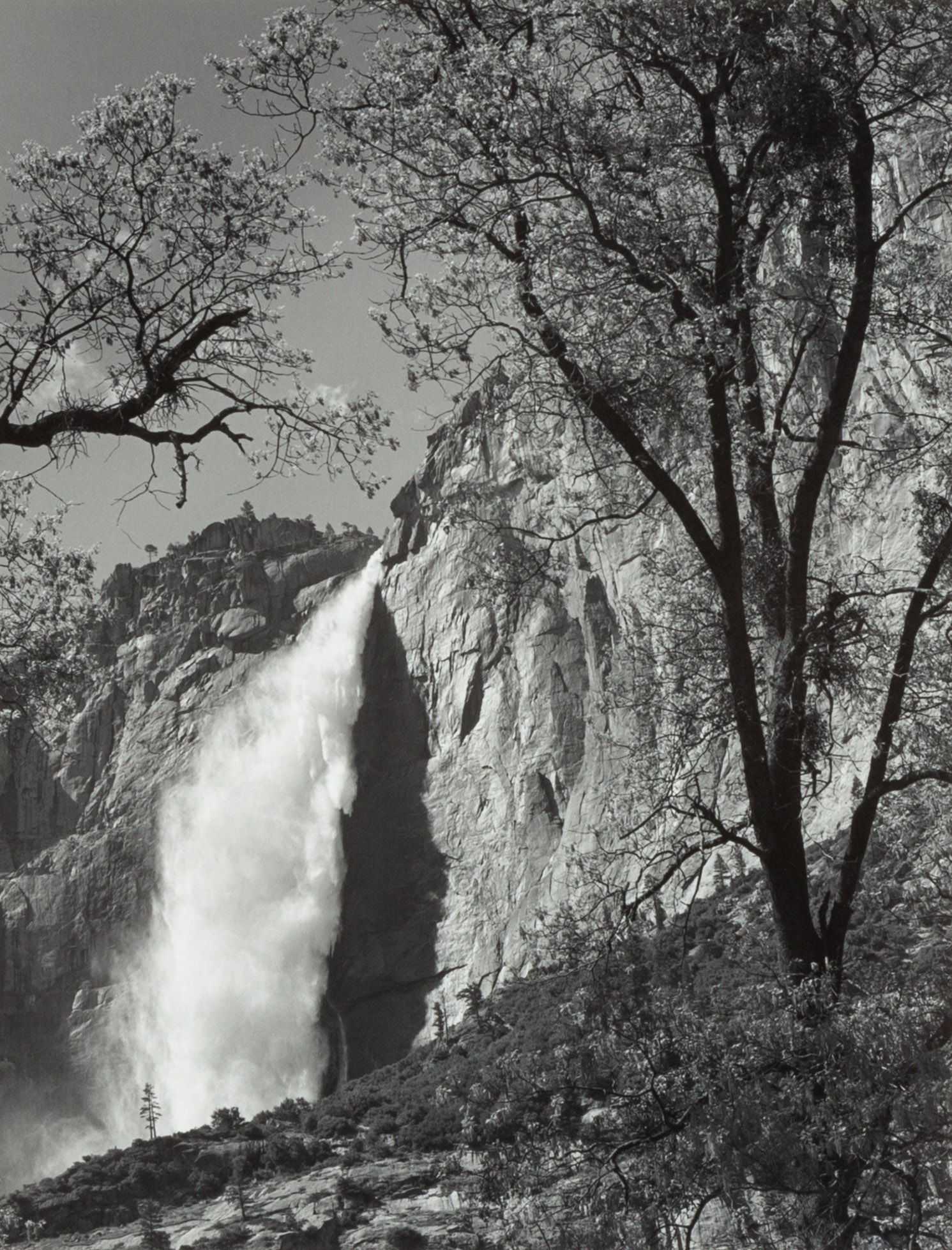 Appraisal: ANSEL ADAMS AMERICAN - YOSEMITE FALLS SPRING YOSEMITE NATIONAL PARK