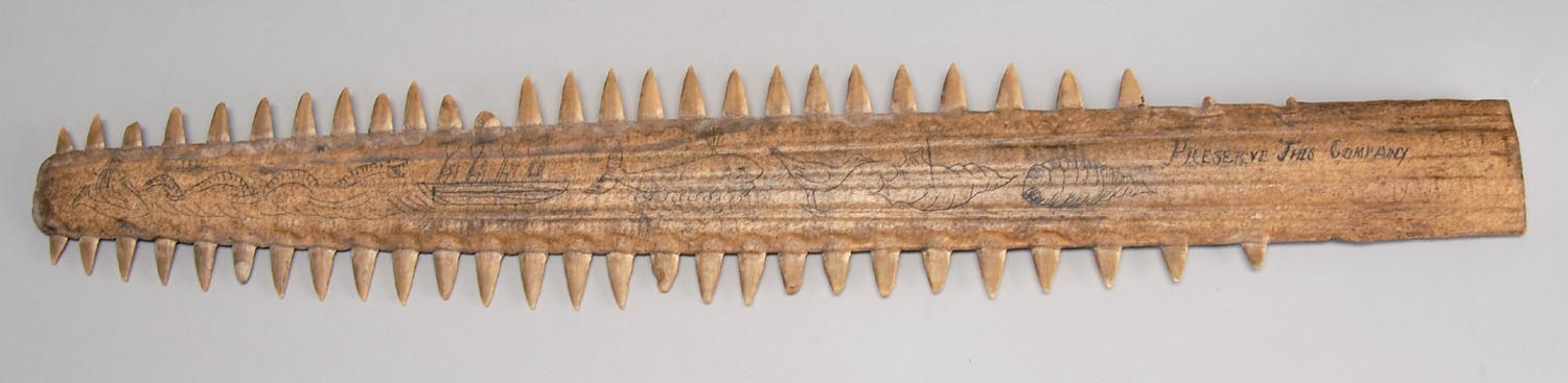 Appraisal: ENGRAVED SAWFISH BILL Late th Early th CenturyNot available for