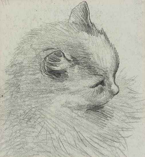 Appraisal: Wain Louis Study of a cat pencil drawing x mm