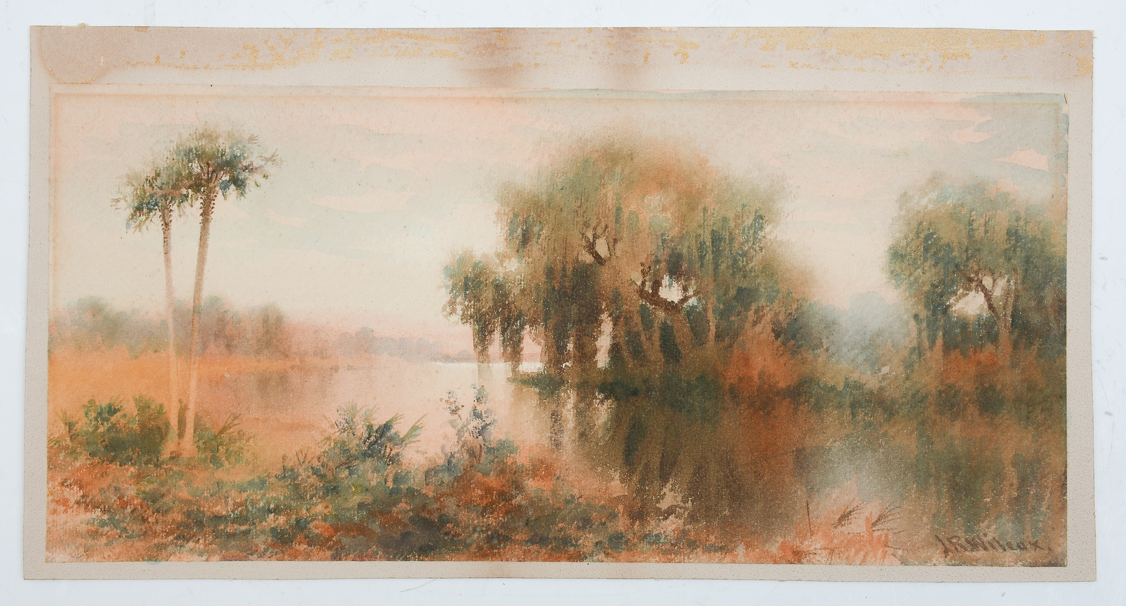 Appraisal: WILCOX James Ralph - Canadian Tomoka River with Palms Watercolor