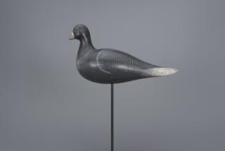 Appraisal: Pigeon Pigeon Maryland c in long A life-size rock dove