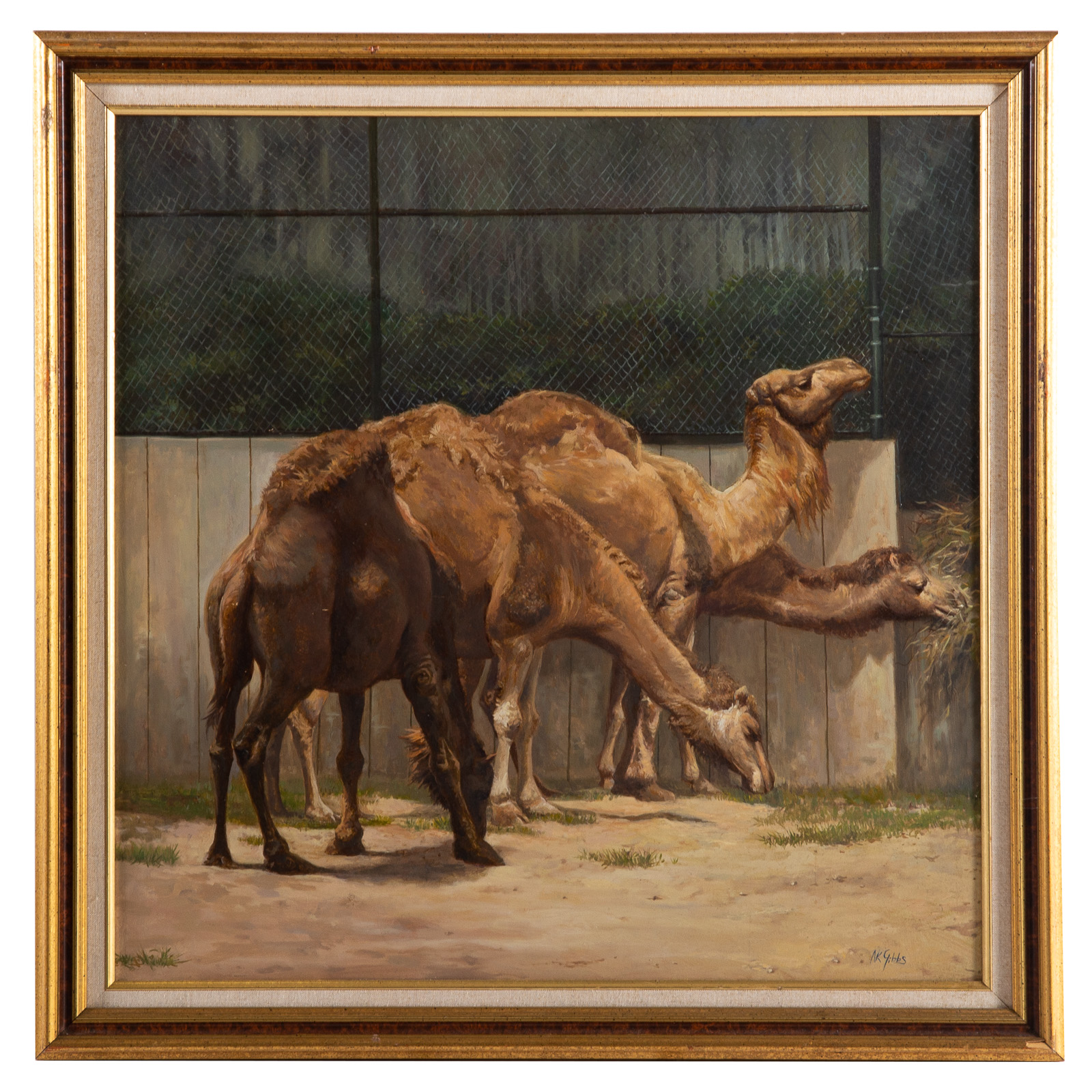 Appraisal: NATHANIEL K GIBBS CAMELS OF DRUID HILL OIL American -