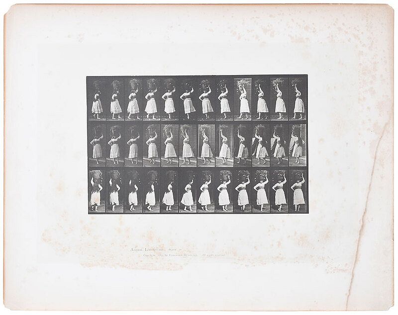 Appraisal: Eadweard Muybridge American - Animal Locomotion Plate copyright losses at