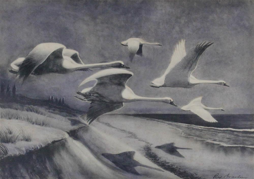 Appraisal: REX BRASHER AMERICAN - GEESE IN FLIGHT Ink and watercolor