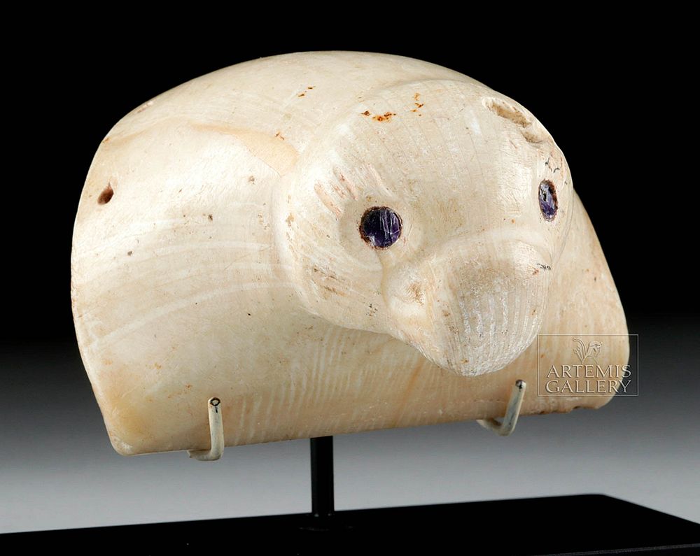 Appraisal: Nazca Clam Shell - Sea Lion w Inlaid Shell Eyes