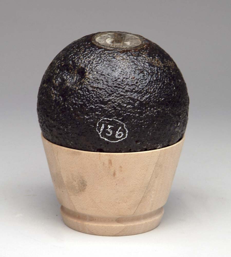 Appraisal: CS -POUNDER BORMANN FUSED CANNONBALL Excavated Cannon ball rests in