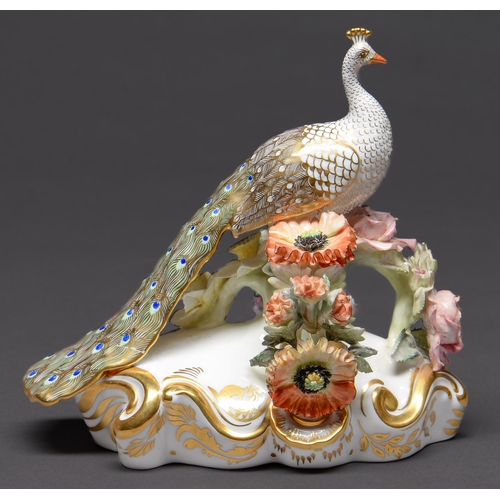 Appraisal: A Royal Crown Derby model of a Derby peacock late