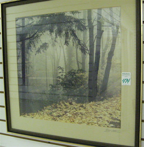 Appraisal: RAY ATKESON COLOR PHOTOGRAPH Oregon - An autumn landscape with