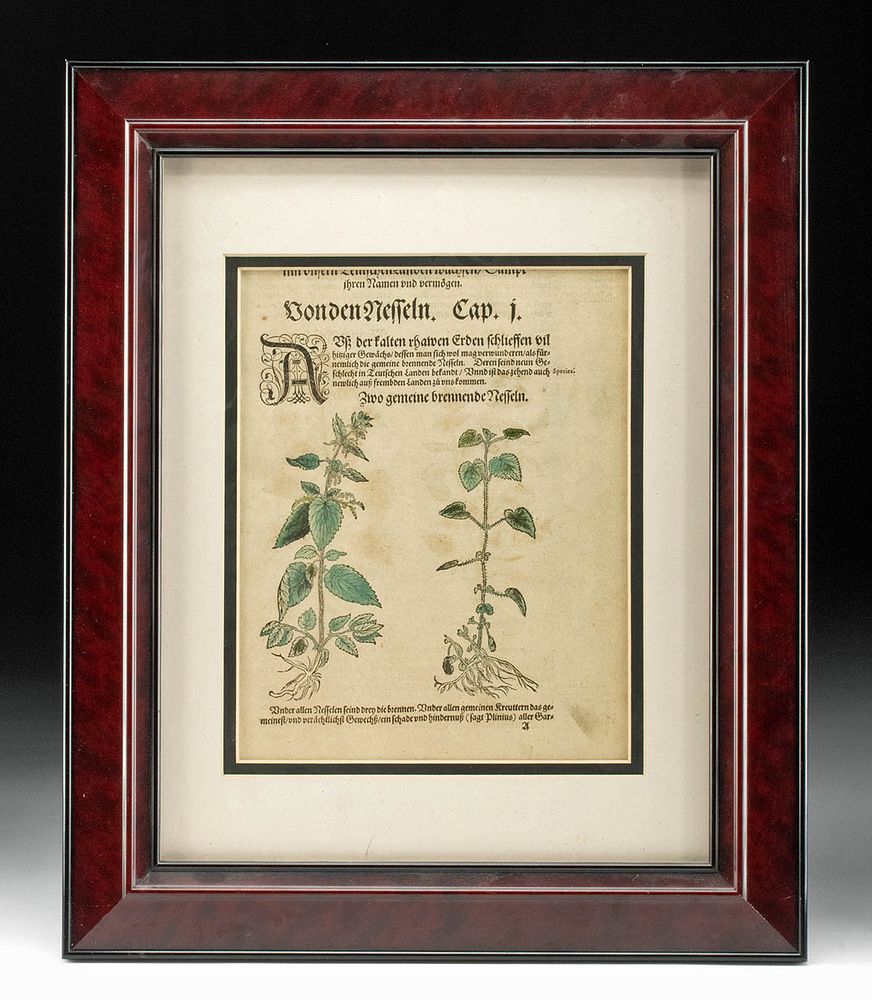 Appraisal: German Hand-Colored Woodcut Herbal Nettle ca Europe Germany ca A