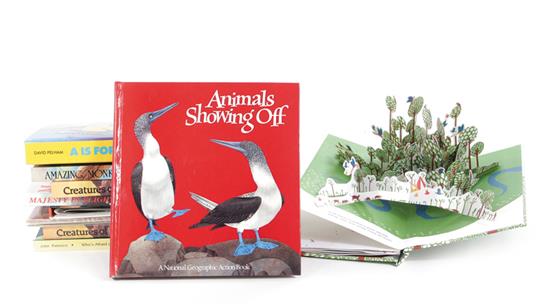 Appraisal: Children's nature and animal pop-up books and panorama Boisrobert Anouck