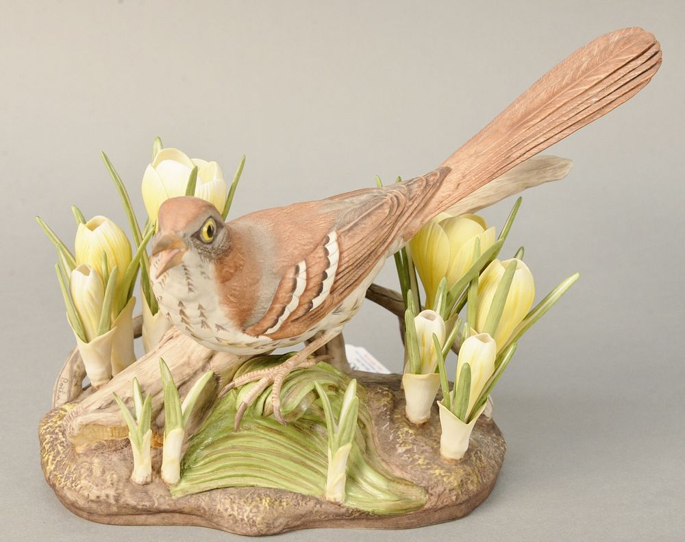 Appraisal: Boehm porcelain bird figure Brown Thrasher marked on bottom Boehm