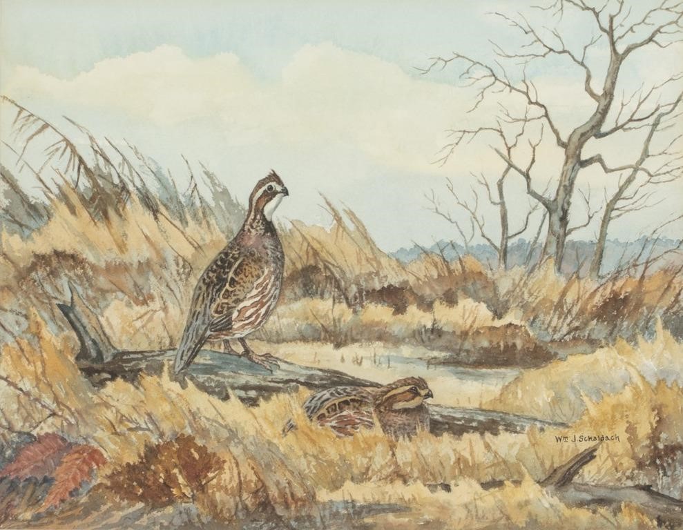 Appraisal: Bobwhite Quail signed Wm J Schaldach lower right watercolor by