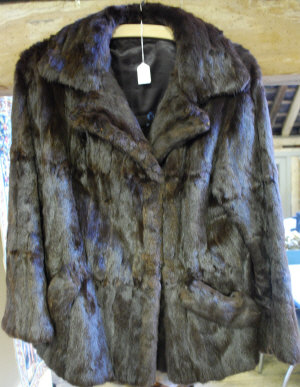 Appraisal: Lady's dark brown squirrel fur jacket