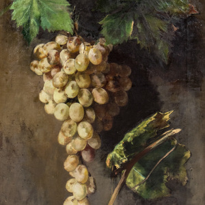 Appraisal: Jose Maria Murillo Bracho Spanish - Still Life with Grapes