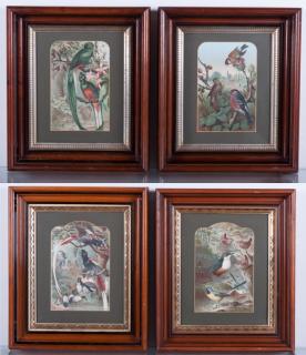 Appraisal: Louis Prang Co Bird Scene Chromolithographs Set of four Late