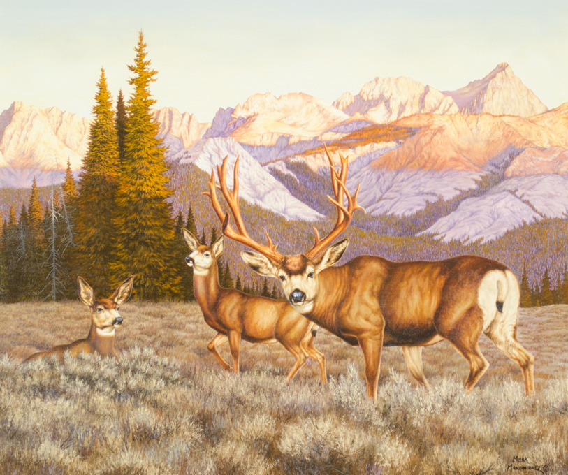 Appraisal: MARK MANSANAREZ OIL ON CANVAS Idaho st century Mule deer