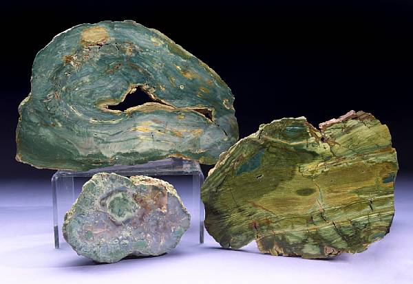 Appraisal: Three Petrified Swamp Bog Specimens Nevada and Oregon Including two