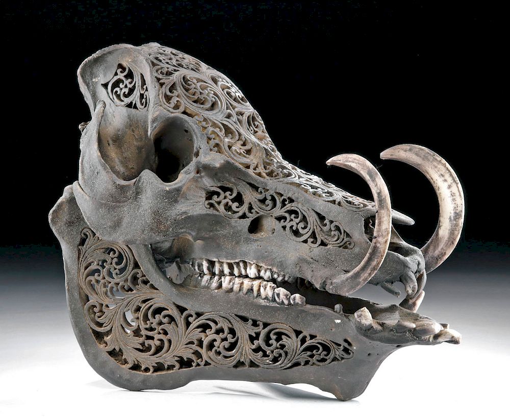 Appraisal: th C Dayak Carved Boar Skull Pieces Indonesia Borneo Central