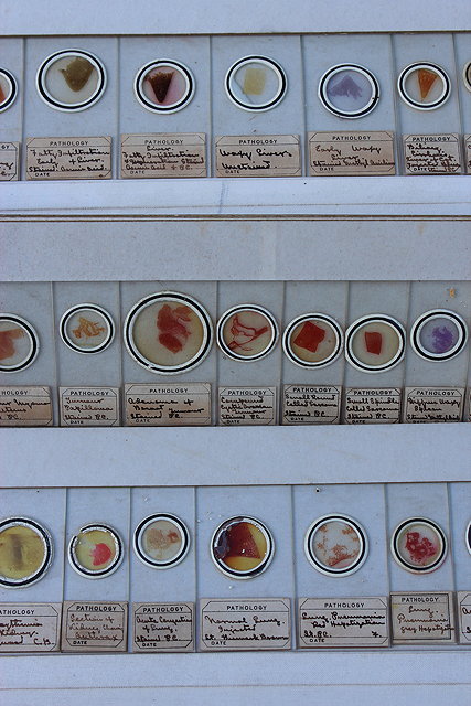 Appraisal: A CARDBOARD BOX containing fourteen trays of microscope slides seemingly