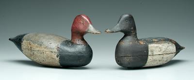 Appraisal: Two duck decoys blue bill drake in large body and