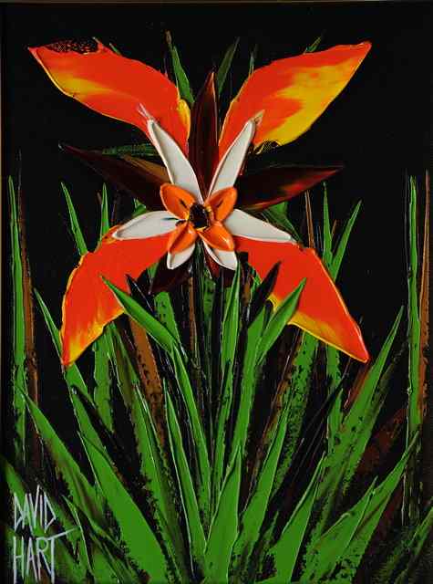 Appraisal: David Hart Australian Contemporary Flower signed dated verso oils on