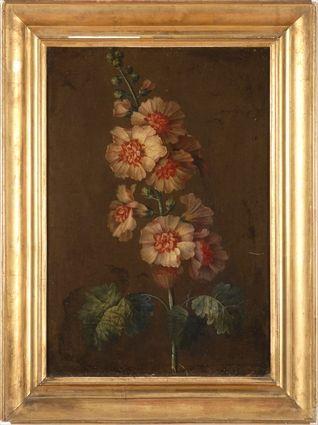 Appraisal: TH C SCHOOL BOTANICAL STUDY HOLLYHOCKS Oil on canvas x